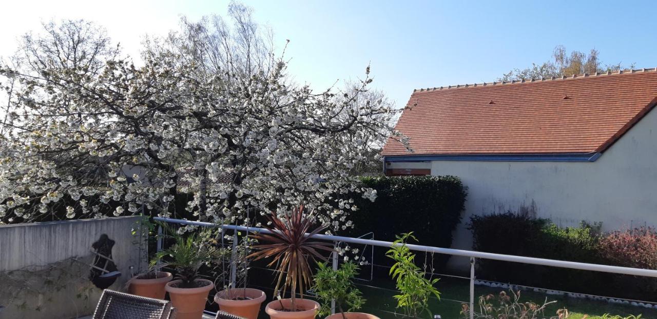 Chambre D'Hote - La Ruche Des Bleuets Mulsanne Bagian luar foto